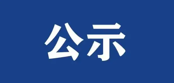 2024年度副高級(jí)專(zhuān)業(yè)技術(shù)職務(wù)資格申報(bào)公示